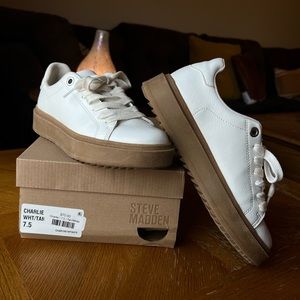 Steve Madden Charlie Sneaker